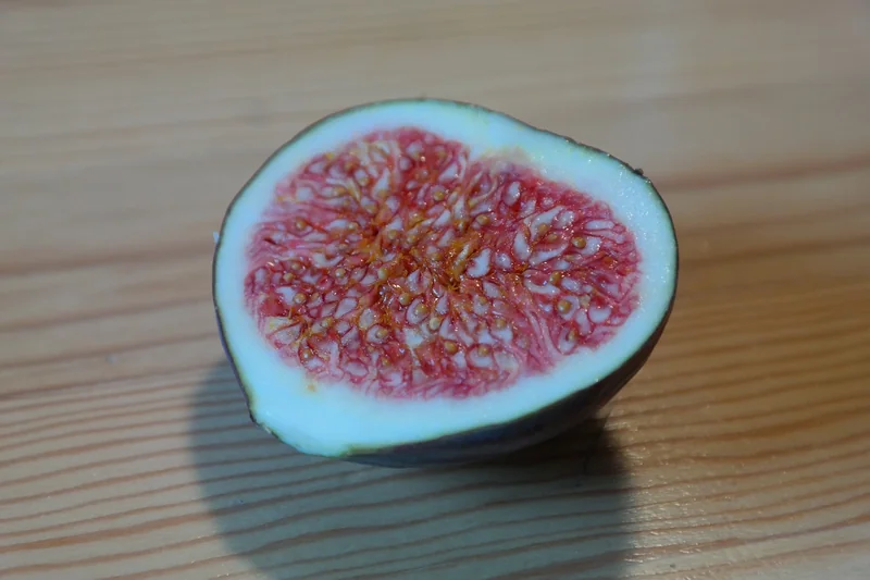 pass 인증서 발급방법
