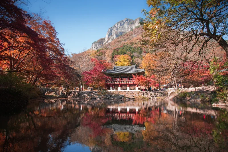 굿모닝 대한민국 라이브 다시보기
