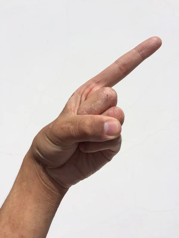 나만의 신년운세