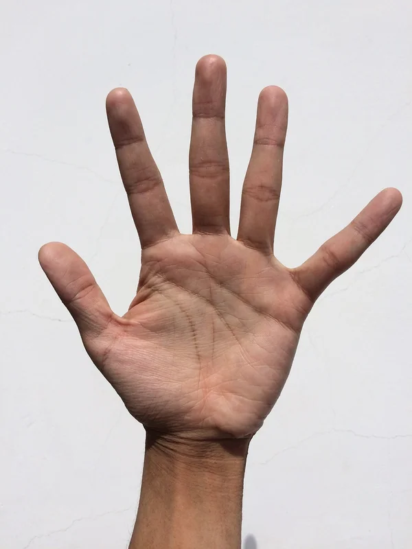 대운 신년운세