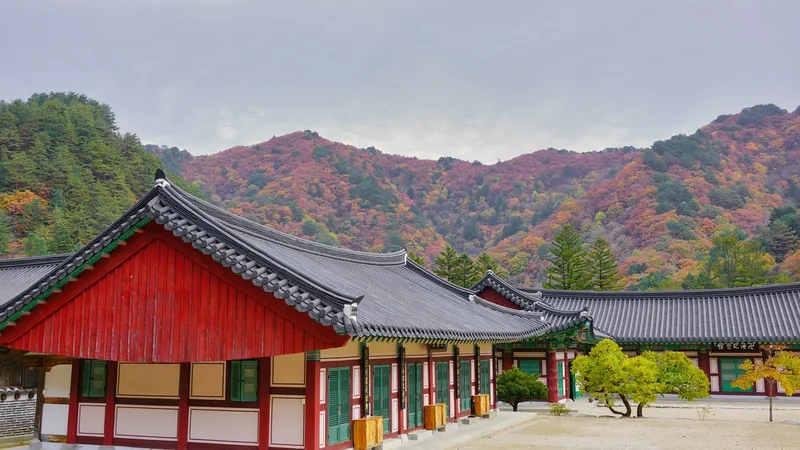 대한민국 대 이란중계방송