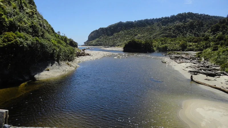 사주 해석 신년운세