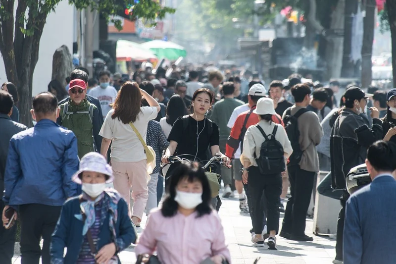 서울 청년 대중교통비
