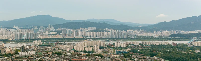 서울 청년 대중교통비