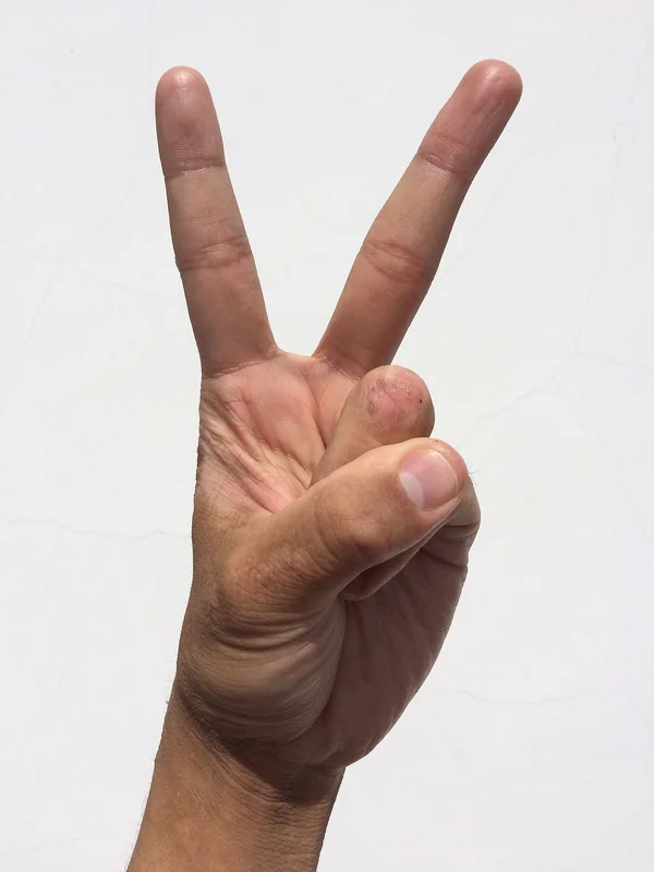 신년운세 연애운