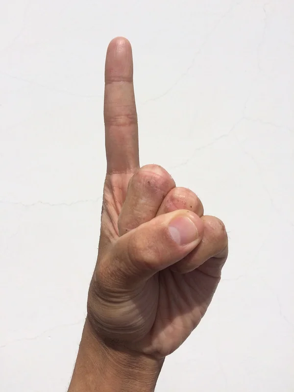 신년운세 월별 운세