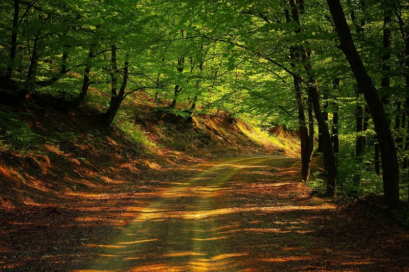 유튜브 차단방법