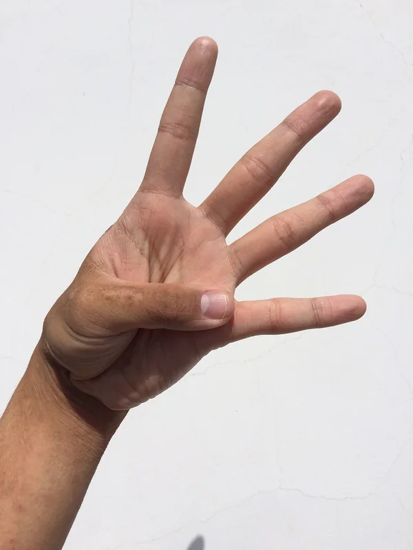이직운 신년운세