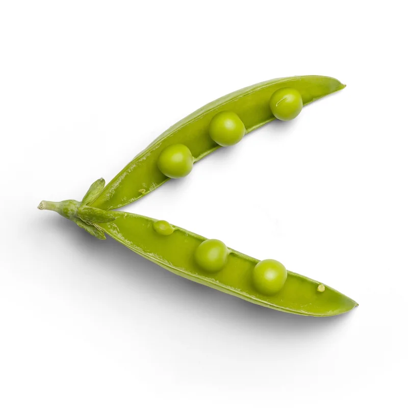 작두콩차 효능