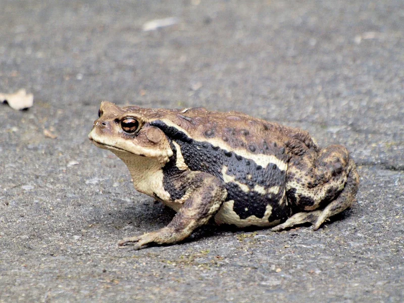 제주항공권 싸게 구입하는 방법