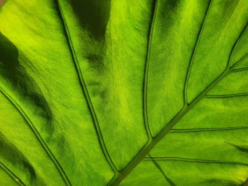 창고 이사