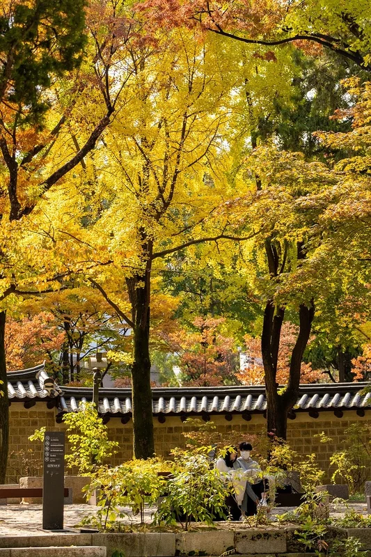 한국 종영드라마 무료로 다시보기