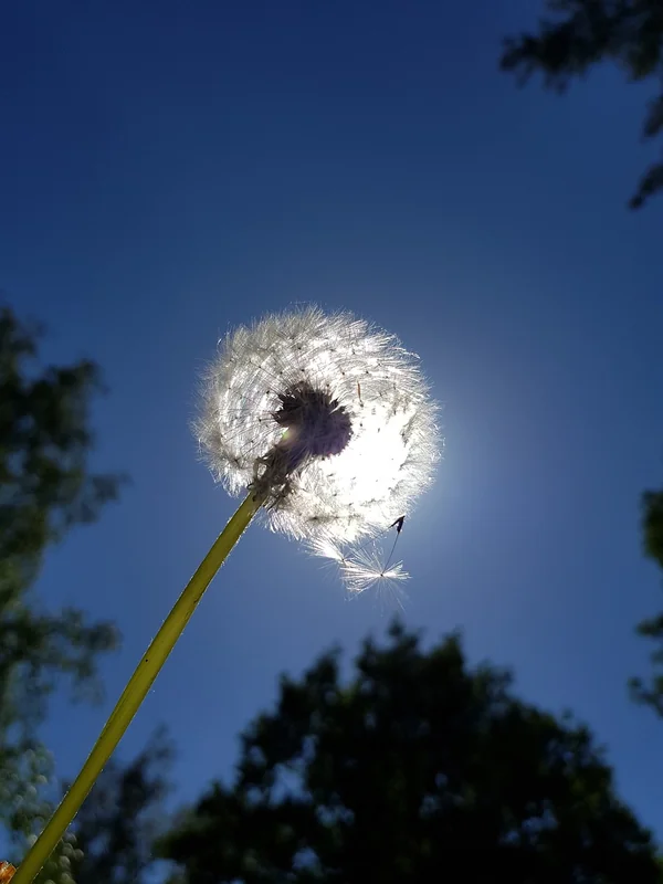 한국 종영드라마 무료로 다시보기